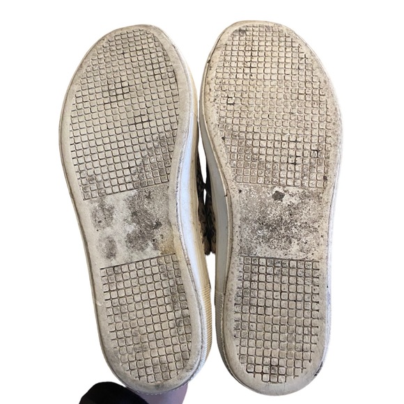 Steve Madden Gills Slip-On Sneaker Canvas Snake Print Size 7 - Picture 4 of 5